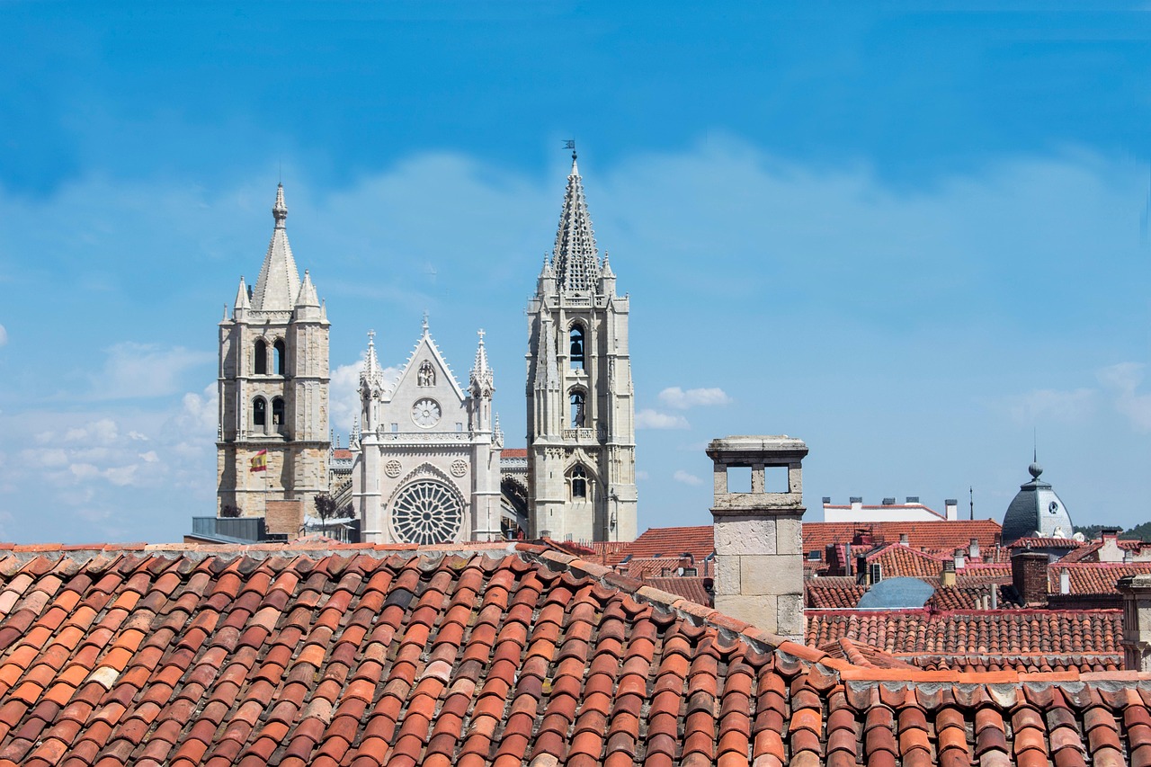 lion cathedral, lion, cathedral, church, nature, monument, history